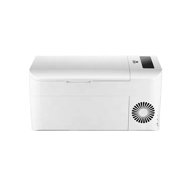 hot sell 20L mini fridge portable DC compressor car refrigerator for camping car use