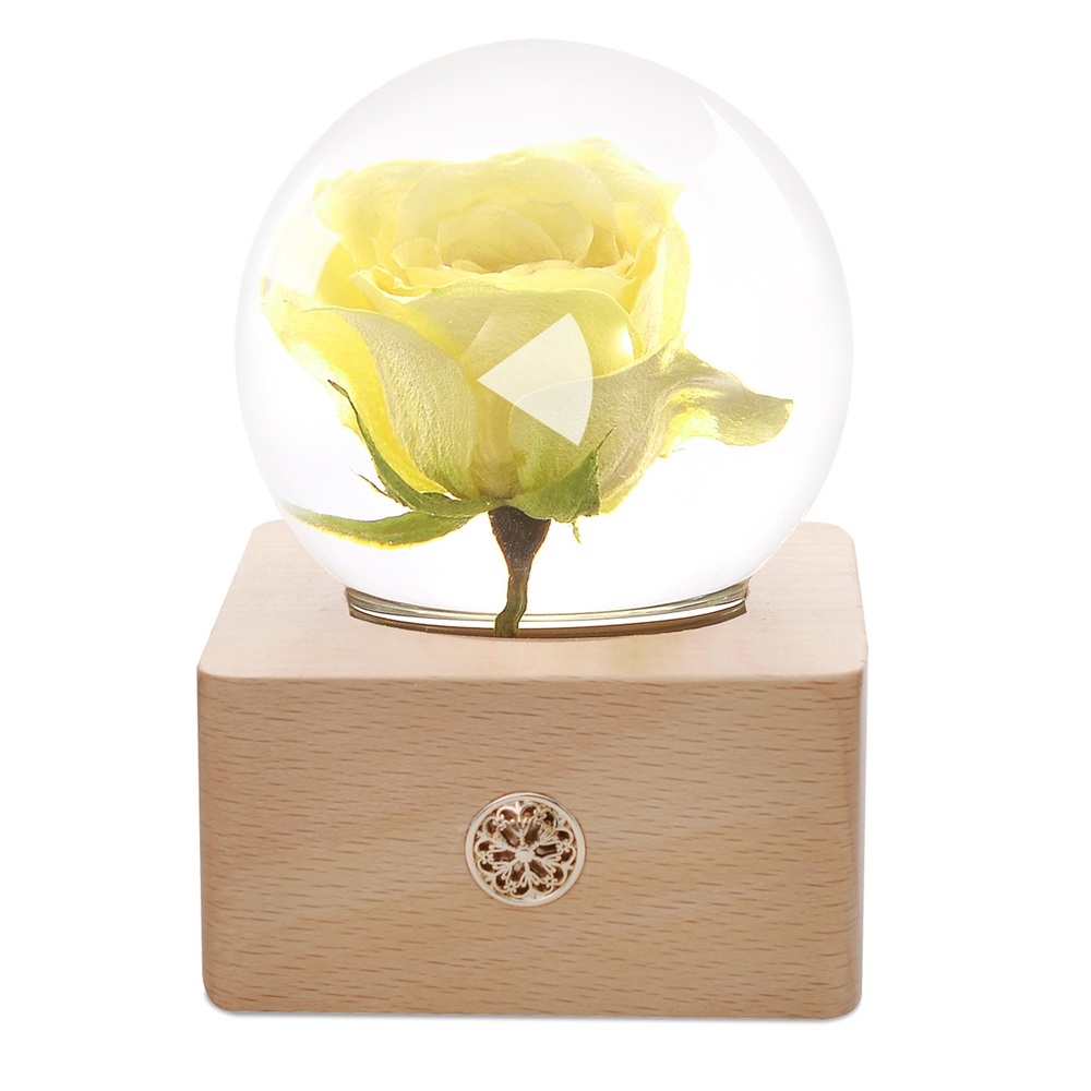 Rosa blanca