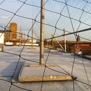 Vegetable <strong>Custom</strong> Anti Bird <strong>Net</strong> Cheap Polyethylene <strong>Mesh</strong> Bird Protection Netting Plastic Anti Bird <strong>Net</strong> - Product Image 4