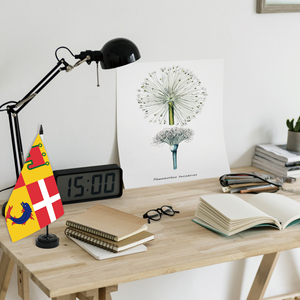 <span class=keywords><strong>Auvergne</strong></span> Rh o ne Alpes 14x21cm masa bayrağı fransa'da çeşitli illerde Polyester dijital baskı