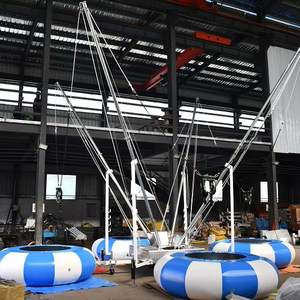 Công viên giải trí cưỡi trẻ em lớn bungy 4 người nhảy <span class=keywords><strong>Inflatable</strong></span> nhảy Bungie <span class=keywords><strong>Bungee</strong></span> Trampoline để bán - Product Image 1
