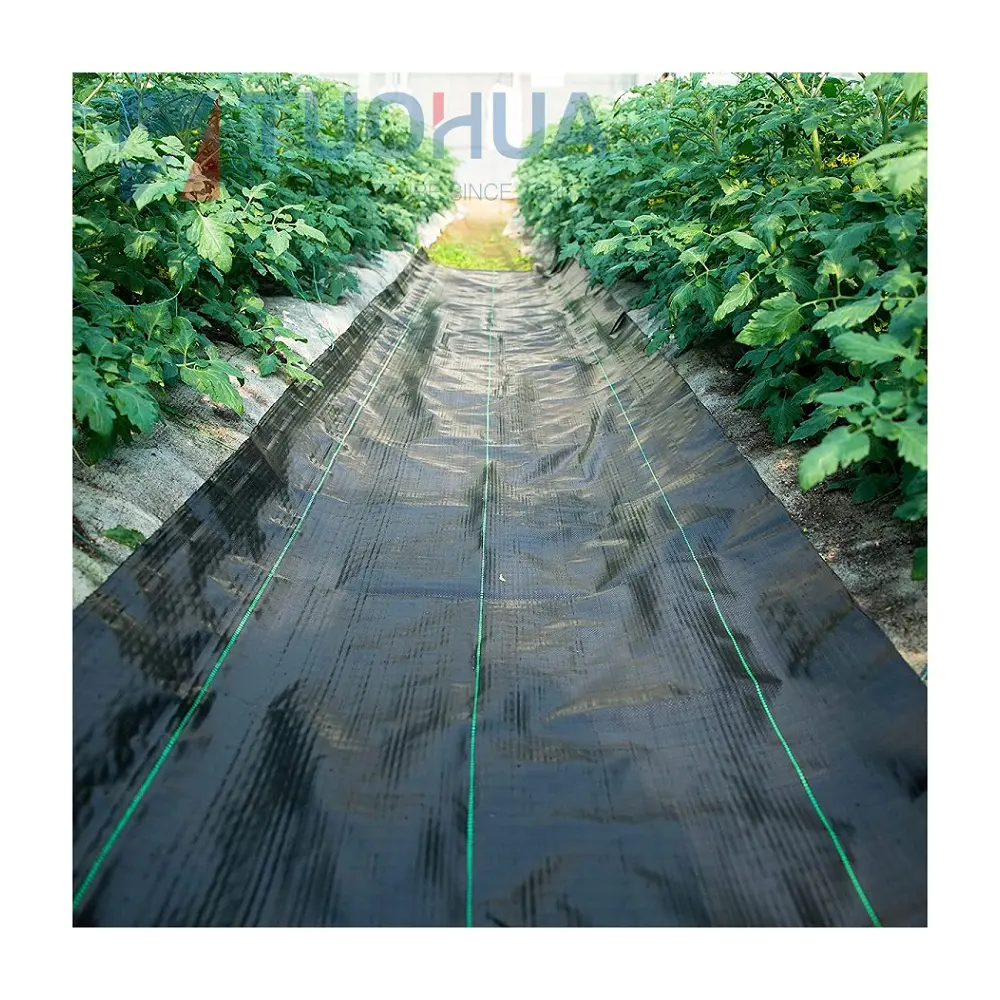UV 처리 농업 정원 풍경 잡초 장벽 PP 짠 Geotextile 직물 안티 에이징 잡초 제어 매트 지상 커버
