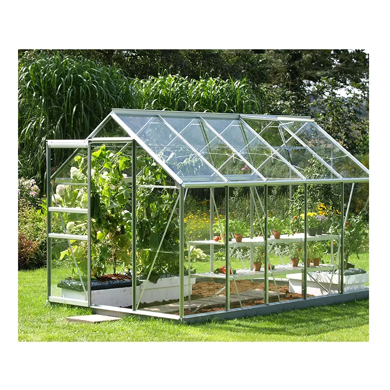 Serra da giardino in vetro produzione di fiori agricoltura piccola serra in vendita