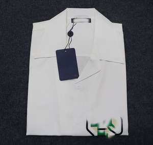 レーヨンハワイレジャービスコースシャツChemise Pour Hommes Dtgプリント夏ハワイアンビーチシルクシャツ男性用カスタム - Product Image 1