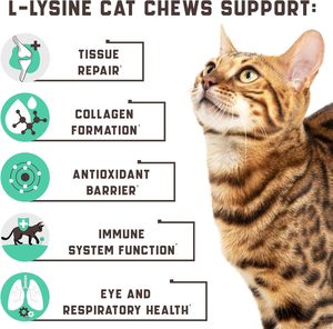 Pet L-Lysine Nutrition Supplements with <strong>Catnip</strong> to Improve Immune System in OEM/ODM of <strong>Cat</strong> Soft Chews