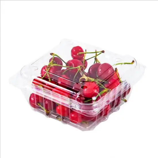 Contenitore in plastica trasparente per frutta da 250 g contenitore a conchiglia ventilato in plastica per frutta in PET alla fragola