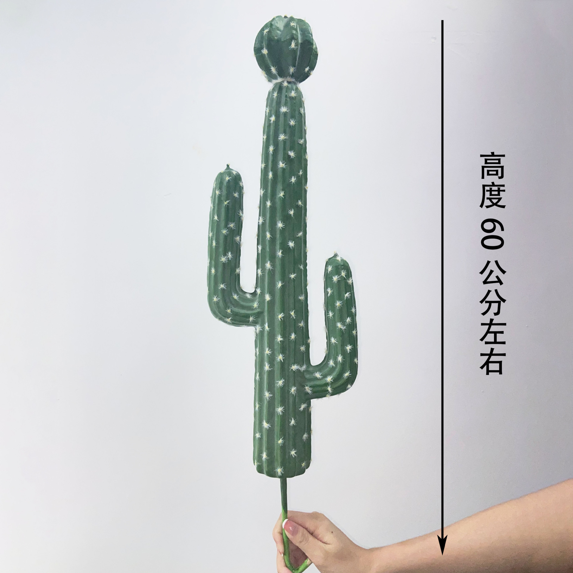 Cactus de higo chumbo-espinas blancas-pequeño racimo de trompeta