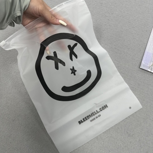中国广东工厂制造塑料eva透明可生物降解磨砂密封拉链锁袋 - Product Image 2