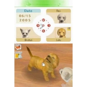 DS NDS 2DS abd versiyonu R4 kart olmadan Ds oyunları kartuşu için Nintendogs Lab & Friends - Product Image 4