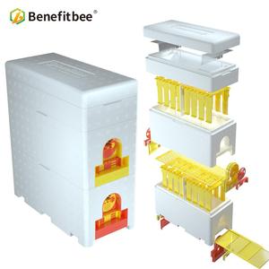 Benefitbee Hộp Tổ Ong Nữ Hoàng Bằng Nhựa Thiết Kế Riêng Hộp Tổ Ong Mini Tổ Ong Xốp - Product Image 4