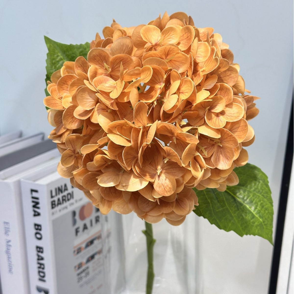 Arancione autunnale