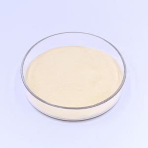 Bakteriyolojik pepton, geliştirilmiş deney tutarlılığı ve tekrarlanabilirliği için mikrobiyal büyüme koşullarını optimize etme - Product Image 2