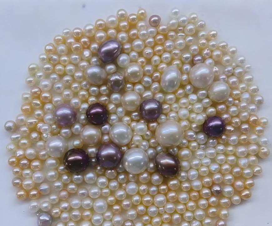 multi pearl mussel/ AK Pearl 5-7mm