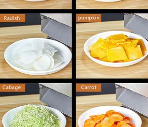 Professional Fruit Slicer Vegetable Slicer Automatic Slicing Machine