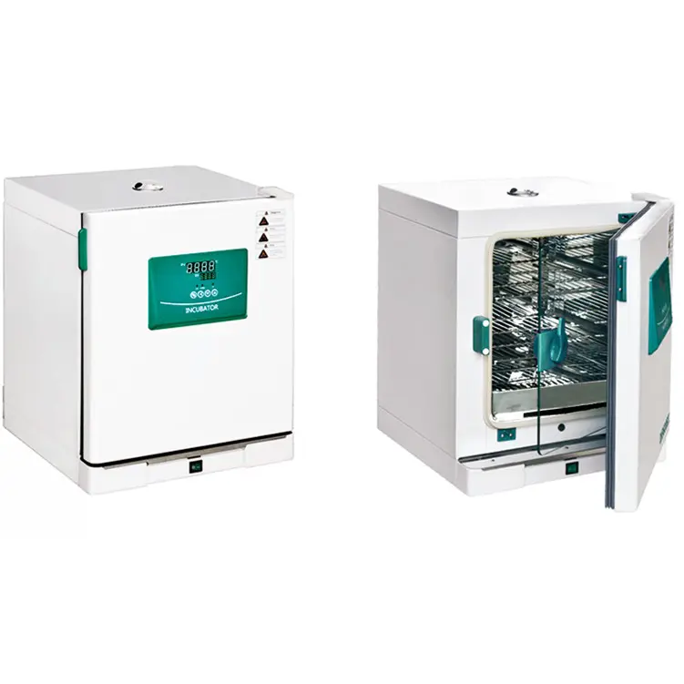 CHINCAN DH3600 II DH3600B II High Quality laboratory Constant temperature Incubator cheap incubators for sale