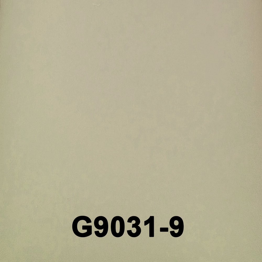 G9031-9