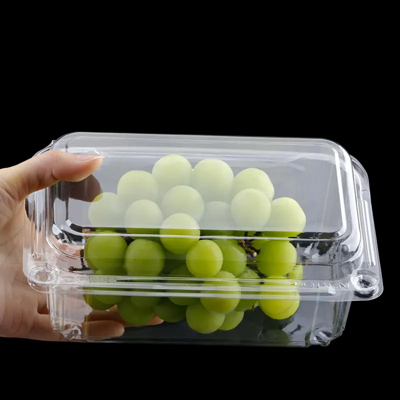 Caja de plástico reciclable desechable para frutas y mascotas, contenedor transparente de concha con estampado de cristal, 500g, 1 ~ 7 días, 0,3mm