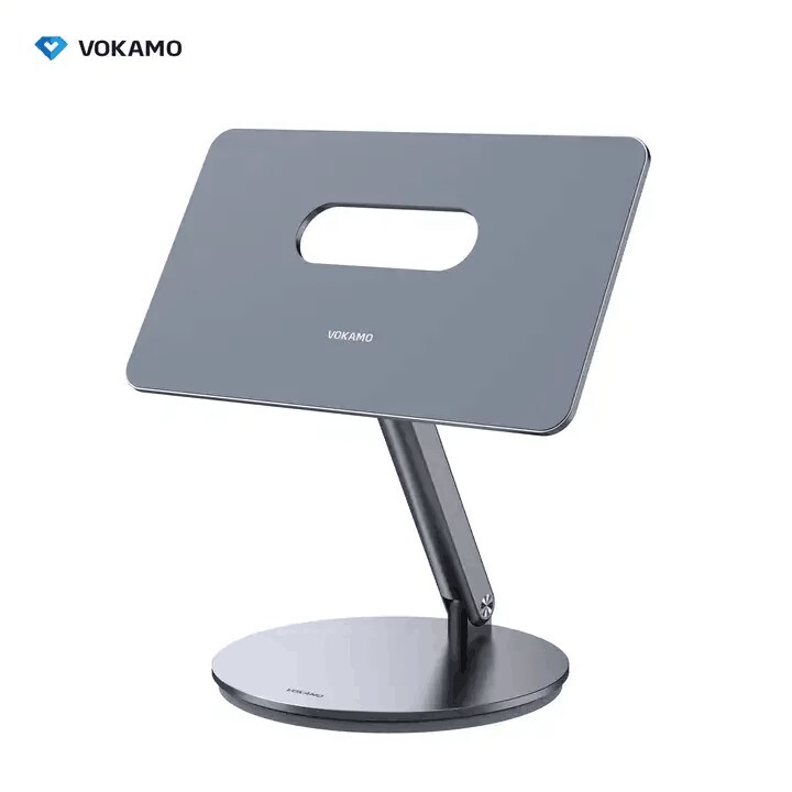 Gris sidéral pour iPad Pro 11" M4 2024