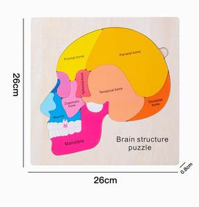 木材科学人脑拼图解剖结构大脑零件匹配木制拼图玩具幼儿家庭学校活动儿童 - Product Image 6