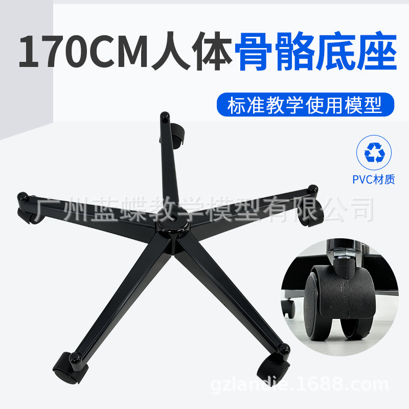 Socle squelette 170 cm