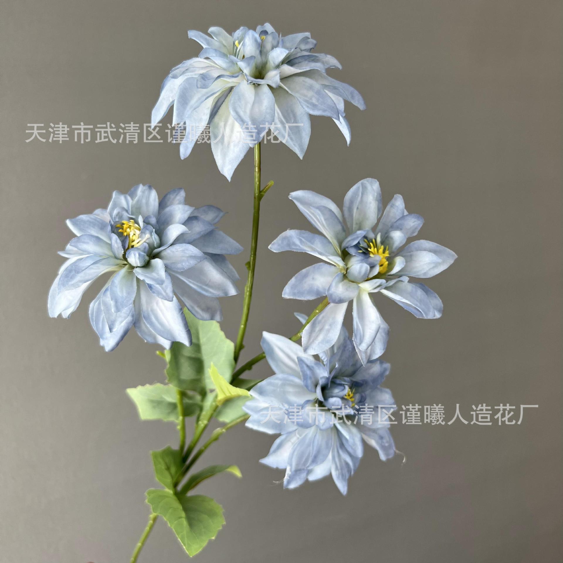 Dahlia à quatre têtes