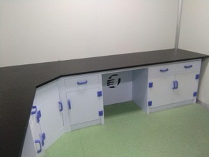 Đồ nội thất phòng thí nghiệm PP phòng thí nghiệm bàn làm việc cho hữu cơ <span class=keywords><strong>R</strong></span> & <span class=keywords><strong>D</strong></span> phòng thí nghiệm kháng kiềm mạnh với bồn <span class=keywords><strong>r</strong></span>ửa - Product Image 4