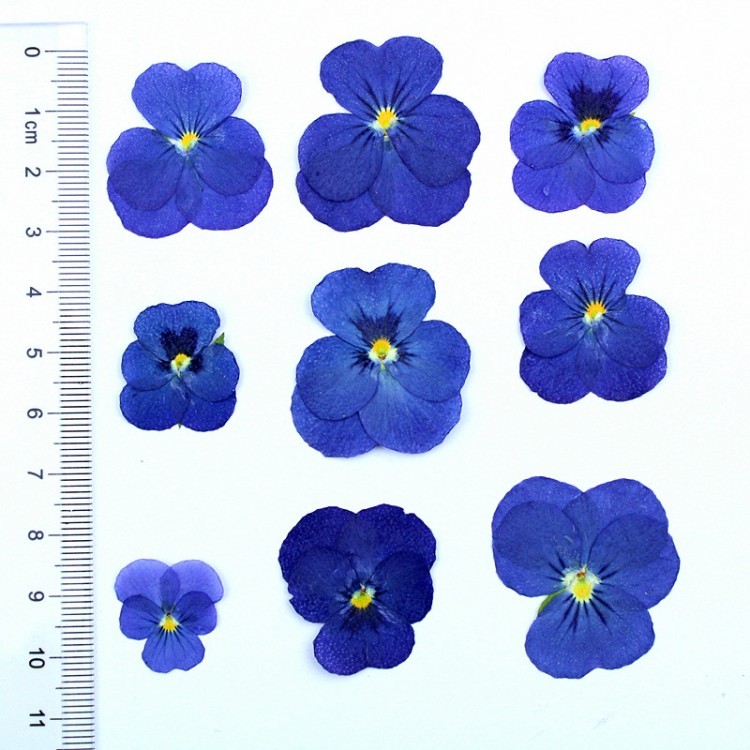 Blu