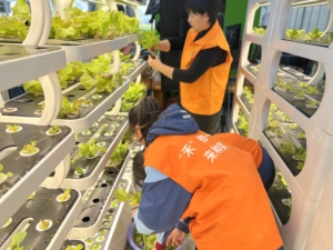 2023 planta casera automática tecnología inteligente computadora de jardinería inteligente Mini invernadero sistemas de cultivo de vegetales hidropónicos - Product Image 3