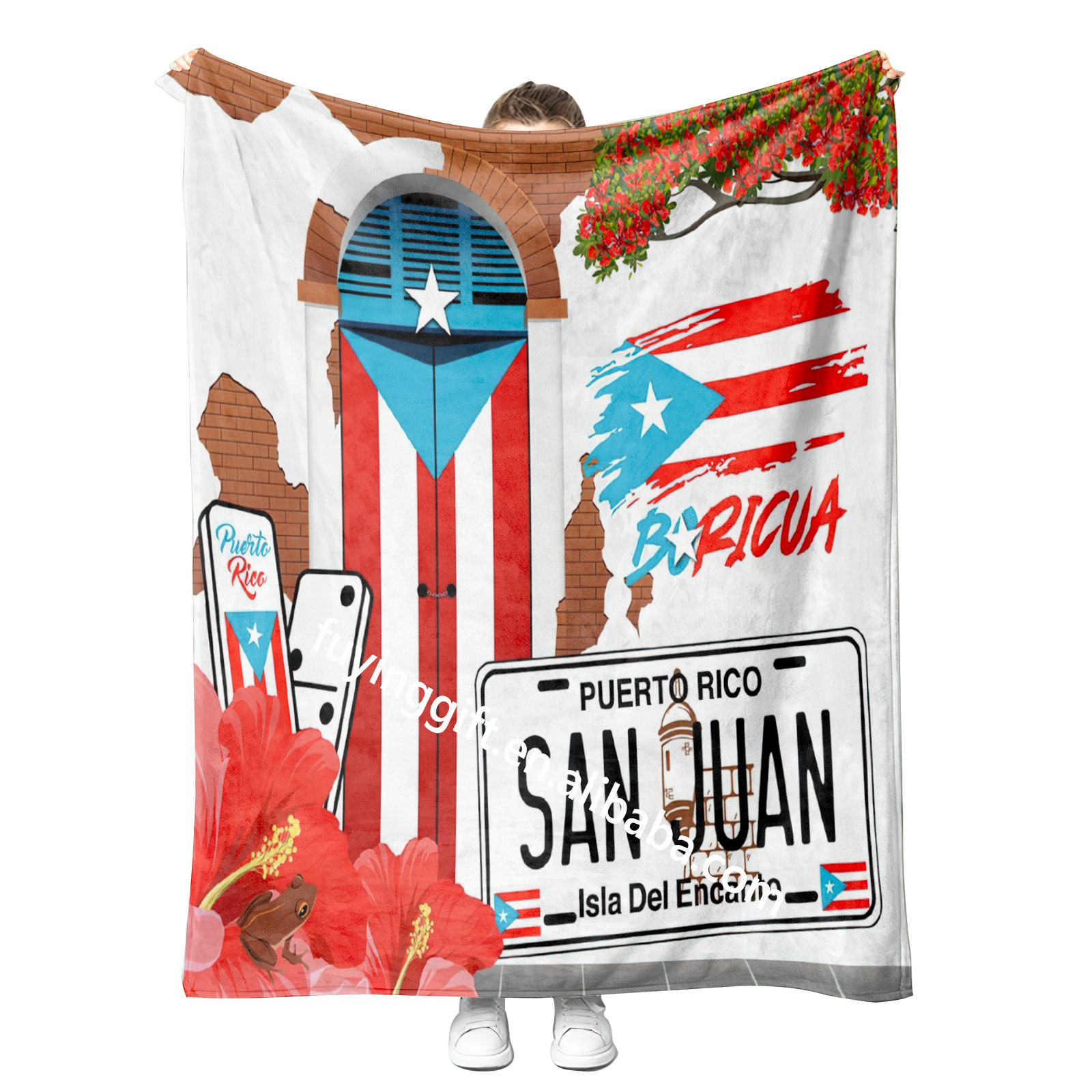 Puerto Rico 07