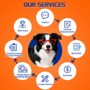 Supplément à mâcher pour soutien des hanches et des articulations Moule à lèvres vertes et acide hyaluronique vétérinaire-Formulé pour les chiens vieillissants Formule et logo personnalisés - Product Image 5