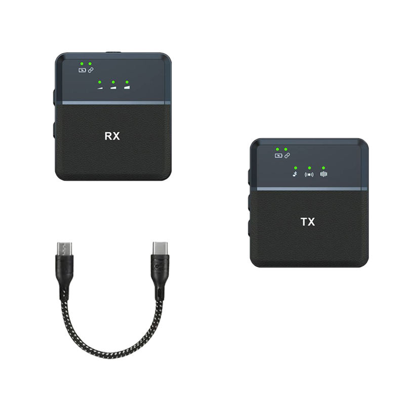 SX9 1ไมโครโฟน-ชนิด C