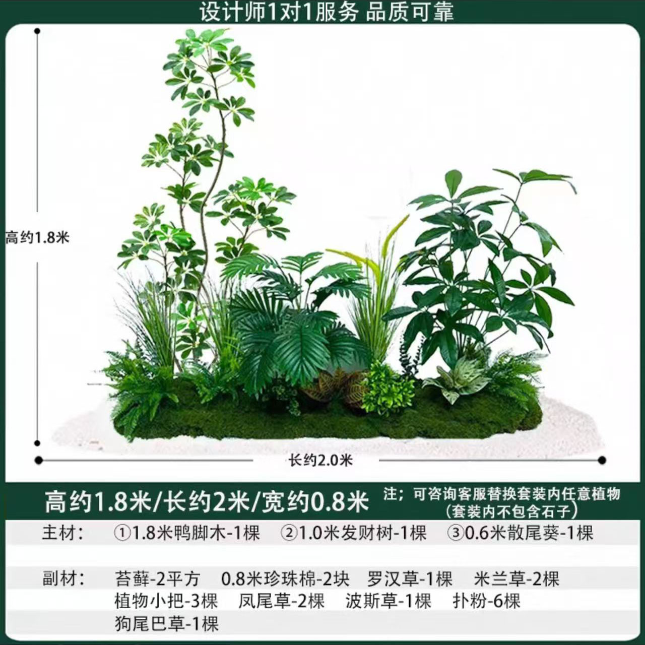 areca palm2mlong