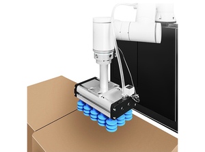 30KG Cobot Palletizer New 6 Axis Collaborative Robots in Palletizing with Lift Pick and Place Carton - Product Image 3