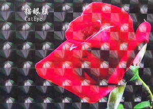 软硬度半透明透明聚氯乙烯冷层压薄膜高光泽自粘保护全息冷膜 - Product Image 2