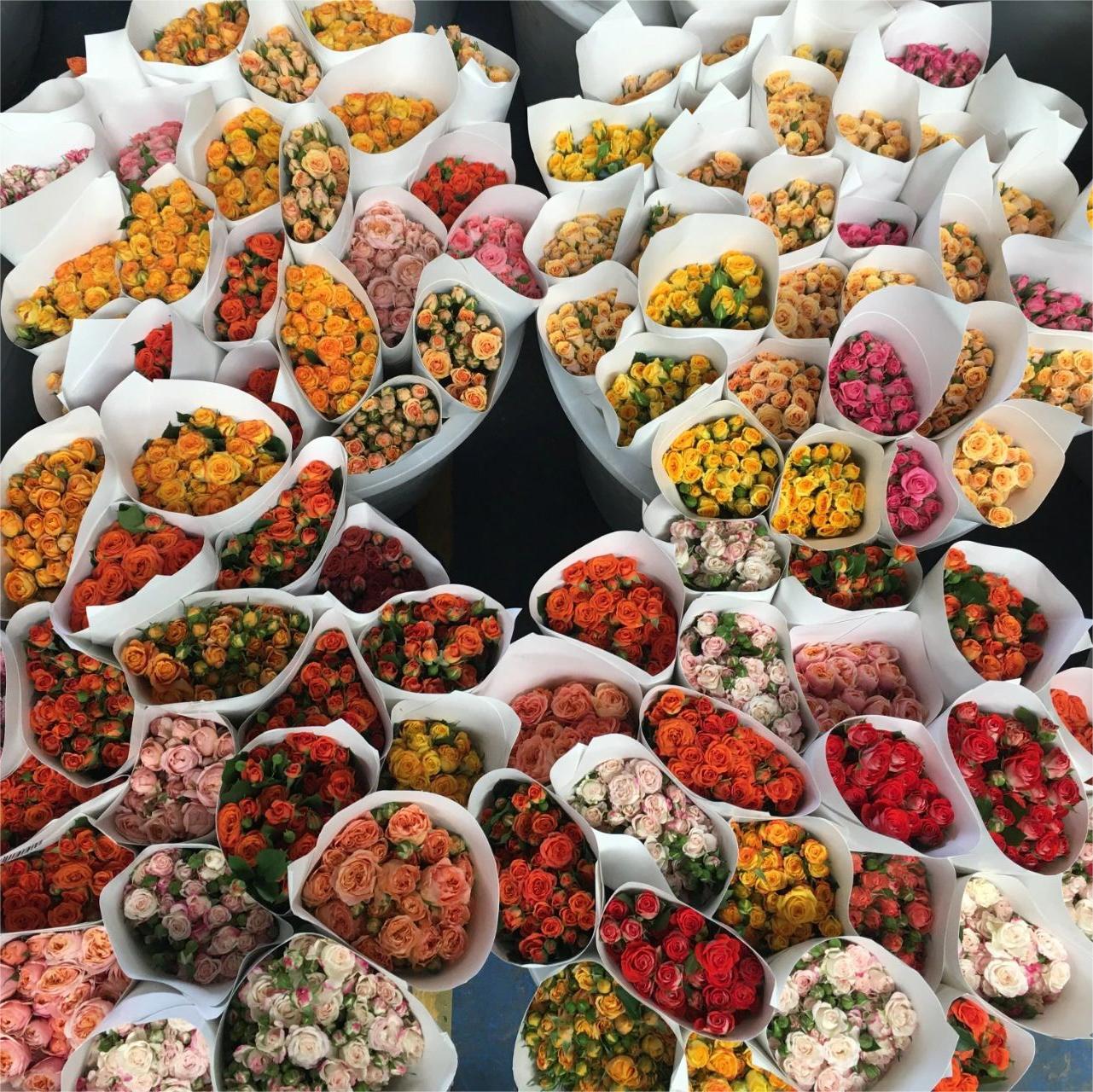 Random color multi-head rose-10 sticks