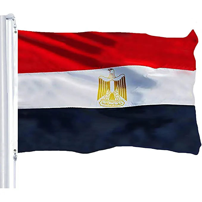 HUIYI impression personnalisée bon marché tous les pays logo drapeau égyptien 3x5ft polyester publicité drapeau national bannières pour les élections