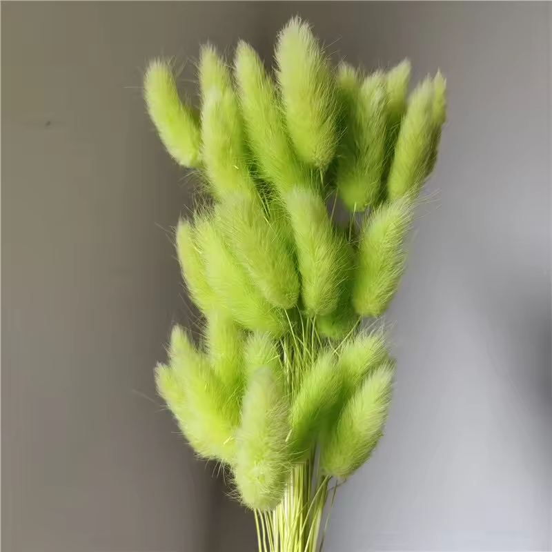 Verde chiaro