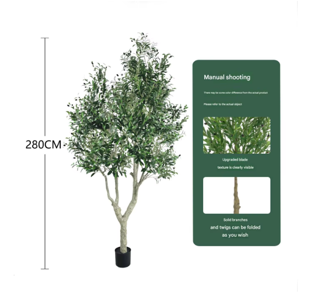 2.8m (Augmentation de la densité d'olive géante type B) pot noir