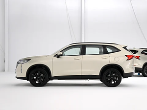 2024 Haval H6 Max PHEV SUV yüksek performanslı 4WD 2.0T otomatik GWM kompakt R19 lastik boyutu 5 kapılı 5-Seater sol Turbo Turbo - Product Image 3