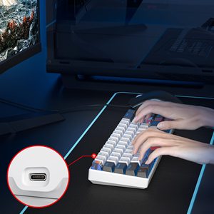 Interruptores personalizados de 68 teclas 60% Gaming LED retroiluminado Teclado mecánico con cable USB Compatible para PC Laptop Tablet