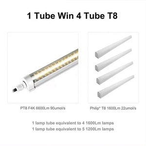 High Brightness Pt8 Led Full Spectrum <strong>Light</strong> Led Grow <strong>Light</strong> Tube Full Spectrum Led Grow Lamp - Product Image 3