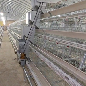 优质热镀锌a型农场家禽电池笼，用于蛋鸡用马达，用于蛋鸡的外壳