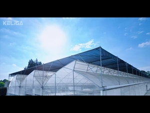 Hệ thống nhà kính thương mại đa nhịp Pro-sawtooth tiên tiến - Product Image 2