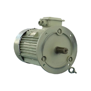 Dellite <span class=keywords><strong>ie4</strong></span> 22Kw 30HP 1500rpm 380V 415V 440V B35 <span class=keywords><strong>ie4</strong></span> siêu hiệu quả tefc động cơ cho máy nén - Product Image 3