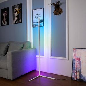 Amazon Shopify trend ürünleri 2022 ev dekor zemin lambası uzaktan kumanda ile uzaktan kumanda ile renkli RGB artı sıcak beyaz kısılabilir - Product Image 5