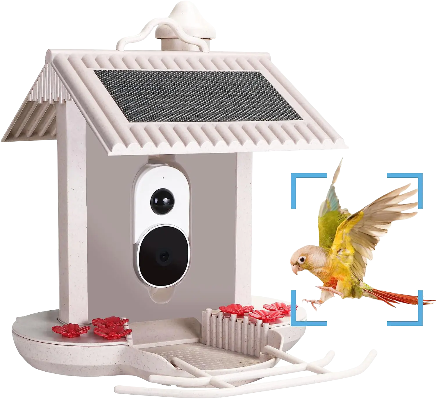 Hi Birds video langsung IP65 1080p energi surya tahan hujan sistem jendela warna penuh penglihatan malam Humming Bird Feeder Webcam Hd