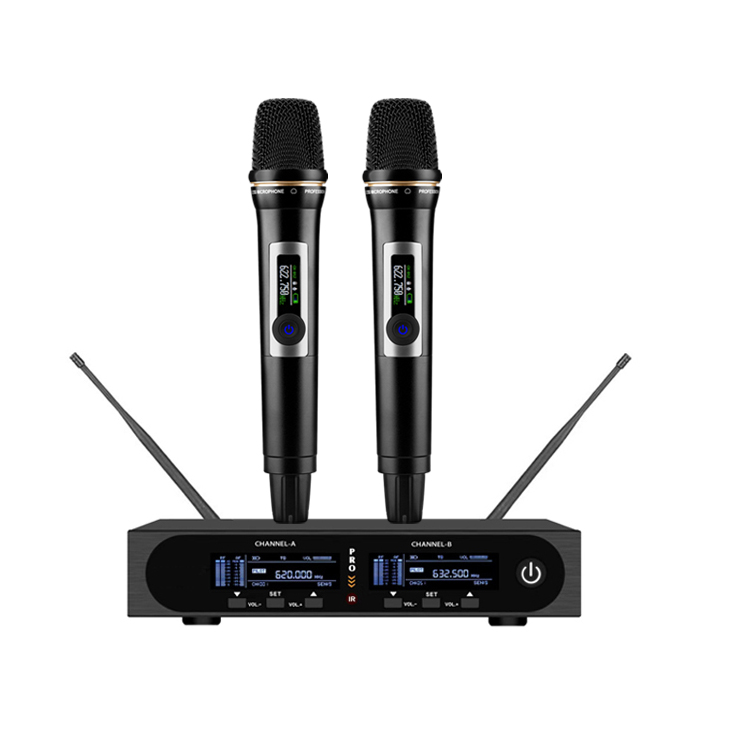 Dual channel with handheld mic -3