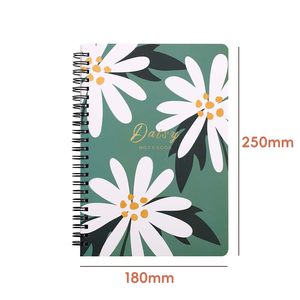 双线圈螺旋装订Ins风手帐学生B5记事本横线内页书写书 - Product Image 2