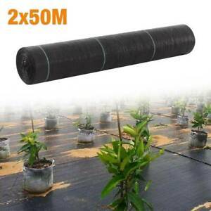 <strong>Tree</strong> Protector Weed Mat Agriculture Plastic <strong>Net</strong> Anti Weed Mat Weed Barrier Fabric Black Dust Control Ground <strong>Cover</strong> - Product Image 3