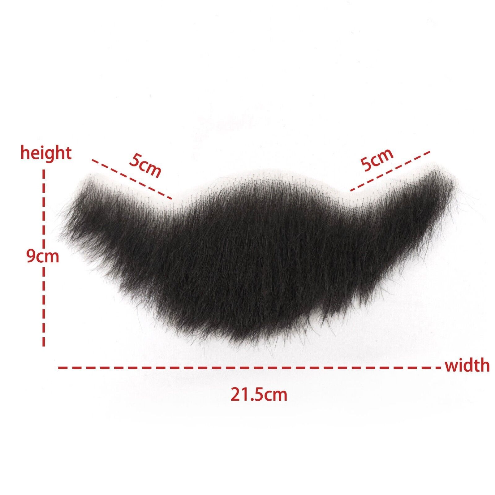 barba 3